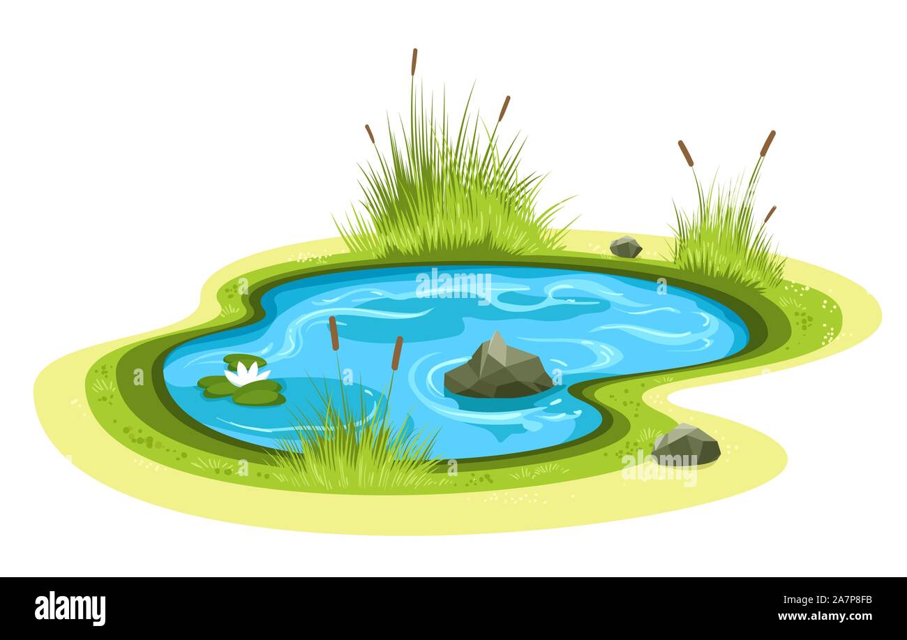 Cartoon del laghetto in giardino Illustrazione Vettoriale