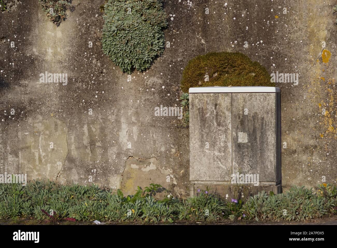 Scatola di distribuzione elettrica, si mescola con il muro in background Foto Stock