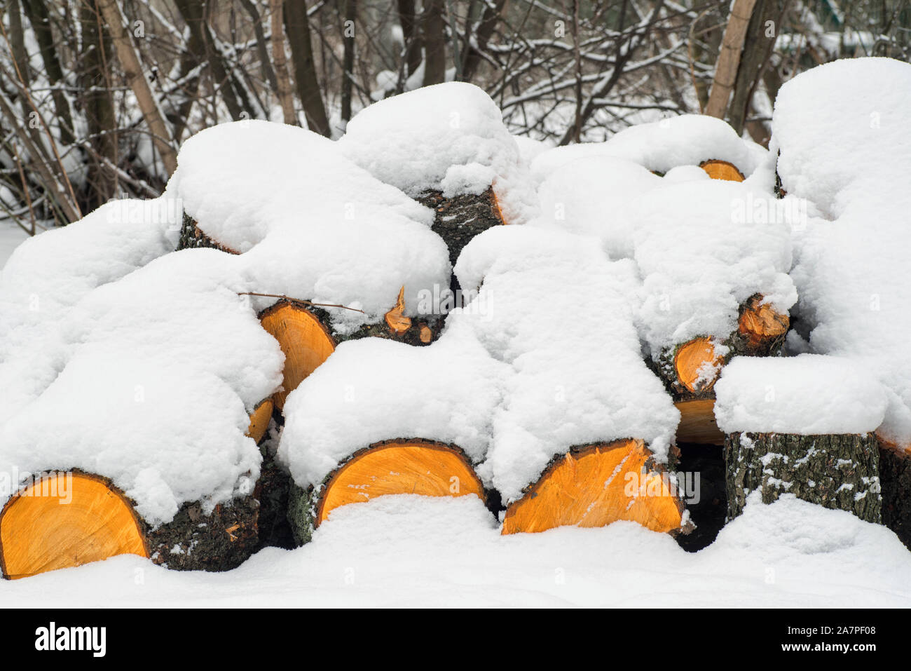Fila di registri giacenti su un suolo coperto di fresca neve sottile coperchio.coperte di neve registra giacciono a terra. L'inverno. Foto Stock