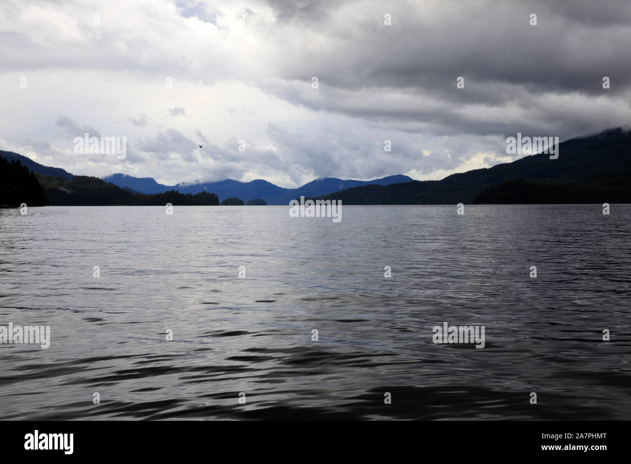 Neets costa della Baia di paesaggio, Neets Bay, Alaska, STATI UNITI D'AMERICA Foto Stock