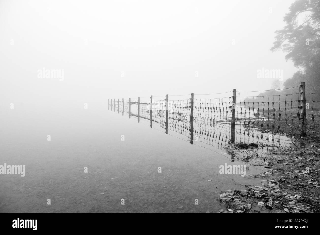 Autunno nebbiosa mattina a Strandshag Bay a Derwentwater nel distretto del lago, Cumbria Inghilterra REGNO UNITO Foto Stock