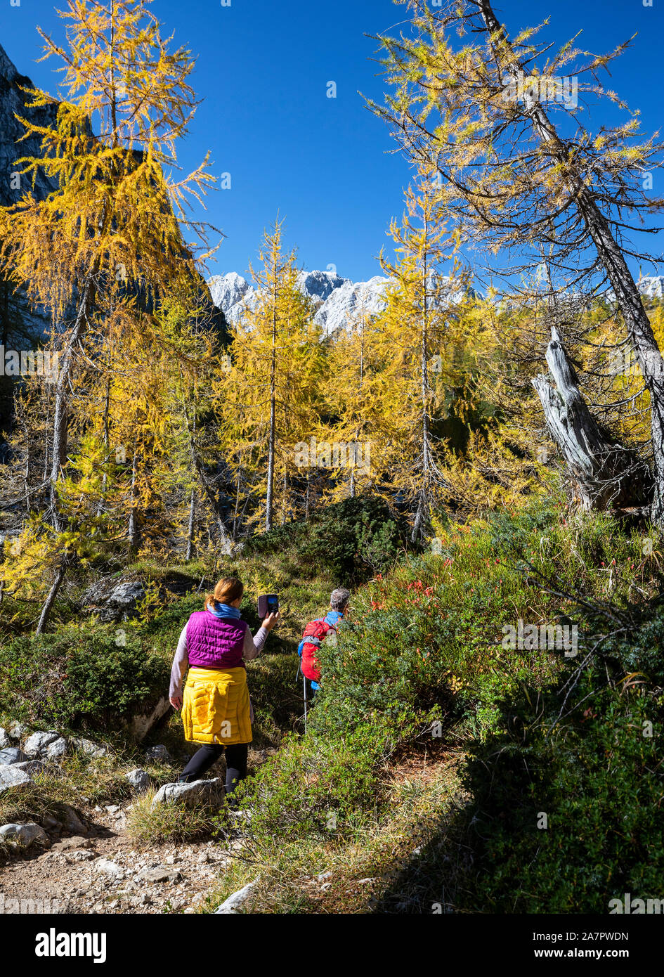Gli alpinisti camminando nelle Alpi Foto Stock