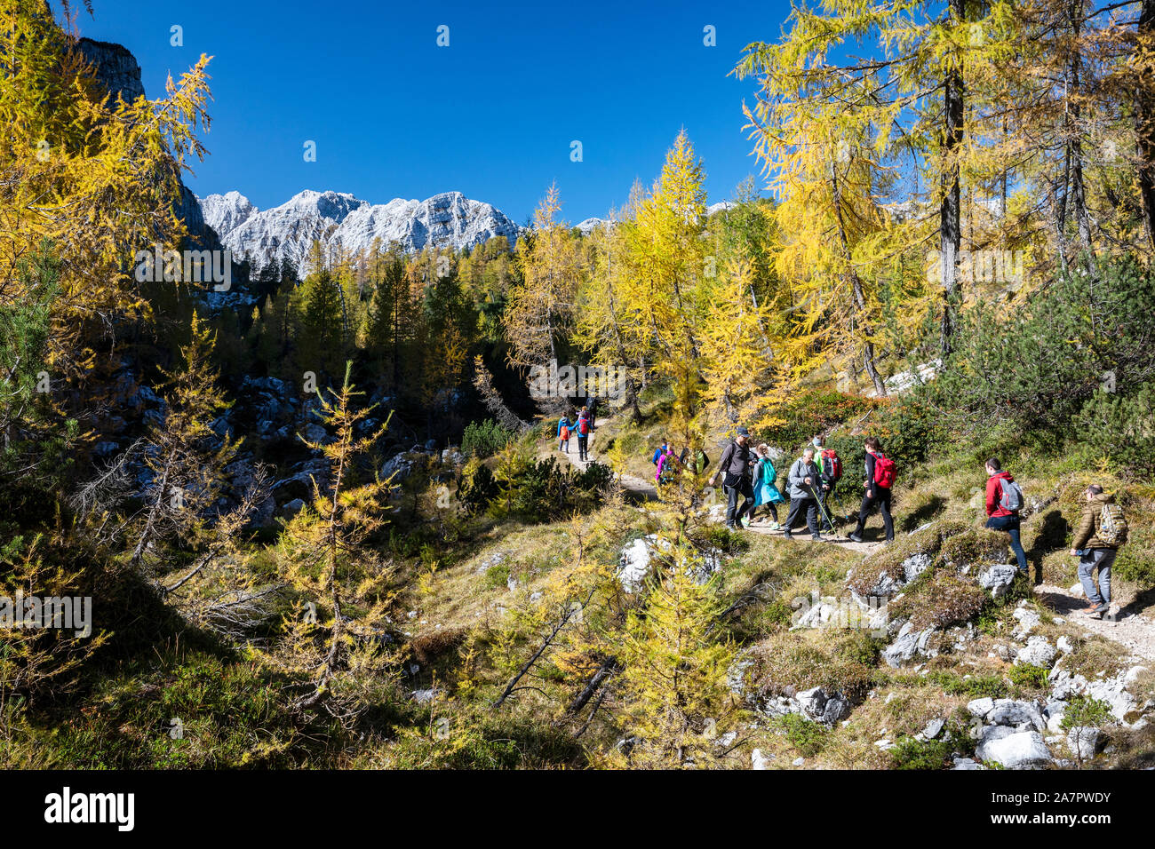Grpup di alpinisti camminando nelle Alpi Giulie in colori d'autunno Foto Stock