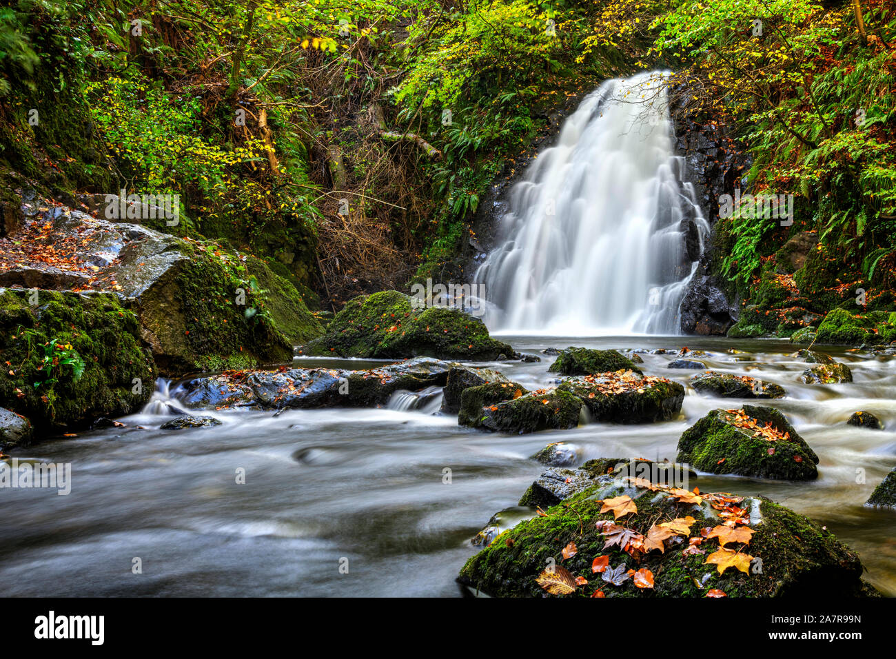 Glenoe cascata in autunno nella contea di Antrim, Irlanda del Nord Foto Stock