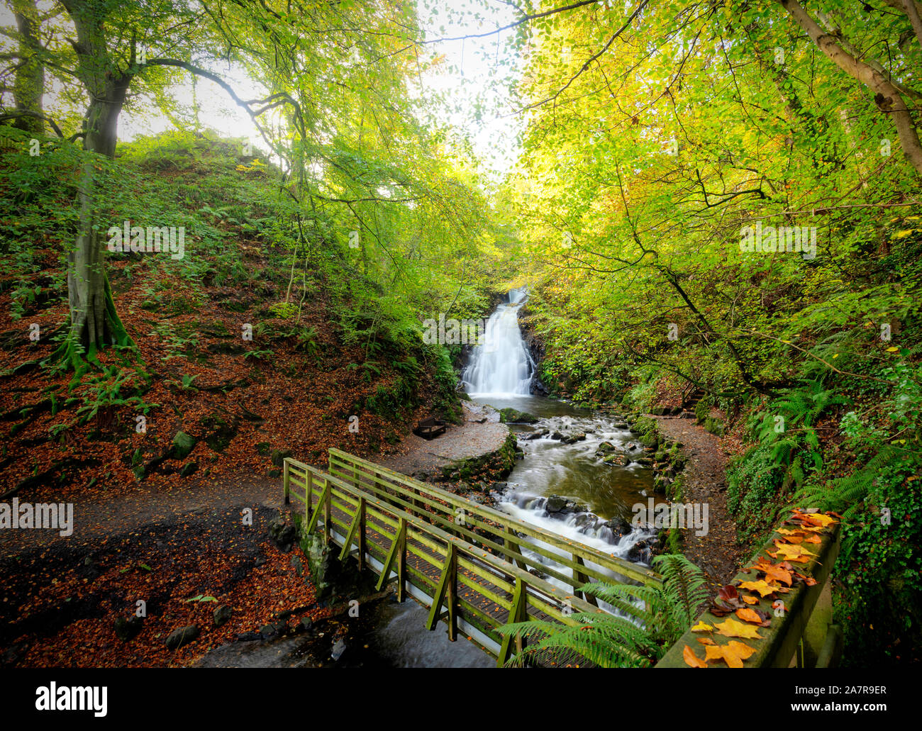 Glenoe cascata in autunno nella contea di Antrim, Irlanda del Nord Foto Stock