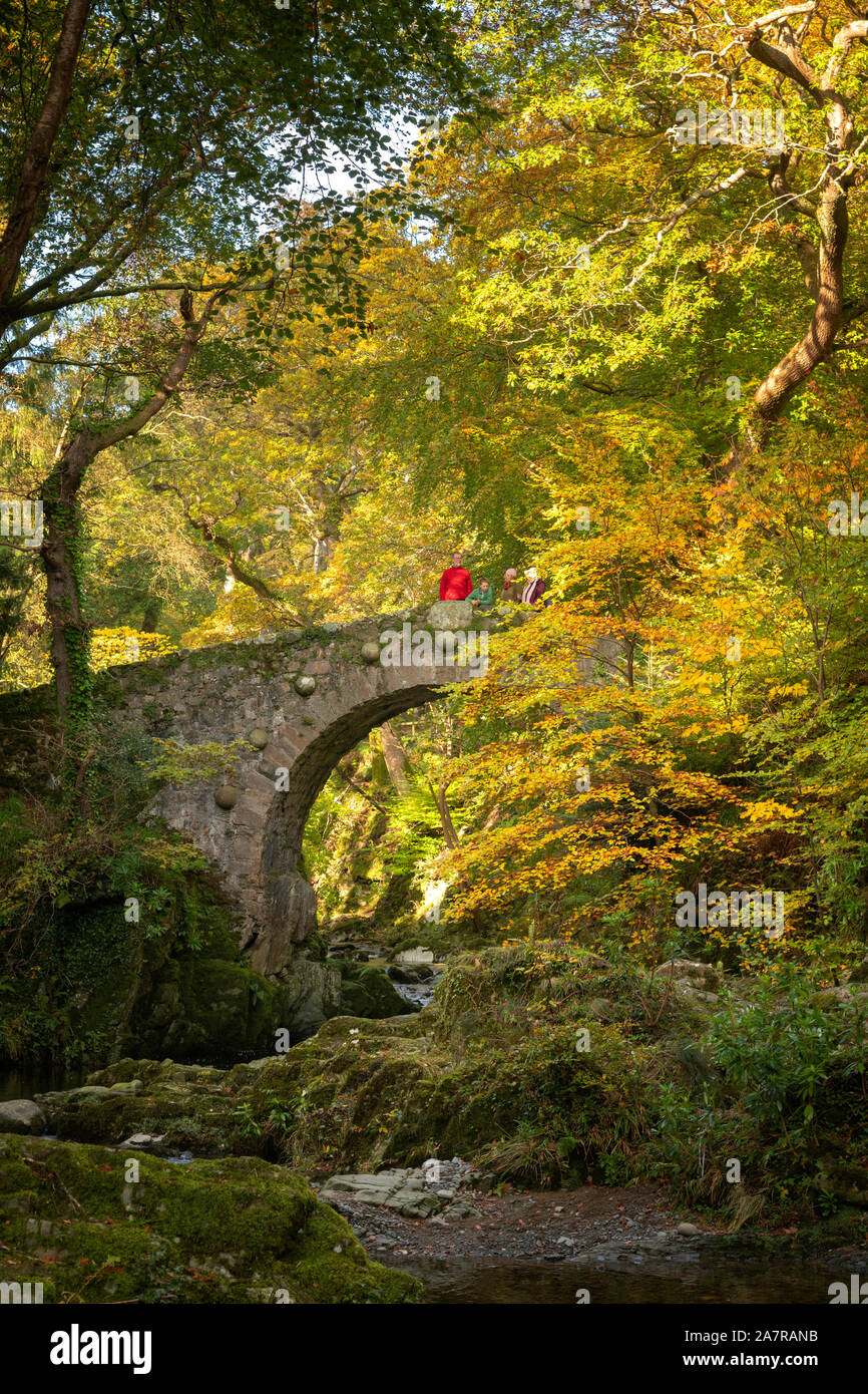 Tollymore Forest Park Bryansford in Irlanda del Nord Foto Stock