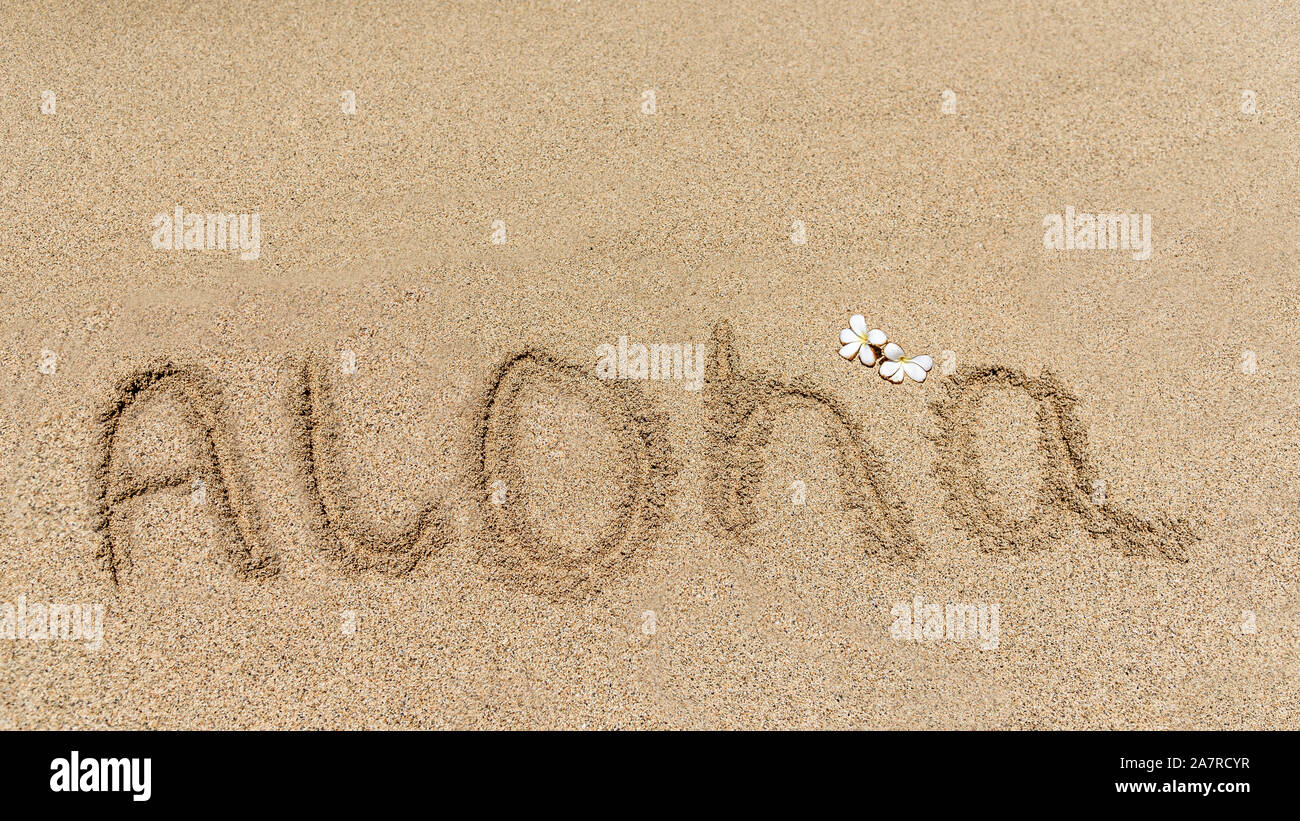 Aloha, il tradizionale saluto hawaiano, scritto nella sabbia di una spiaggia hawaiana, con un tradizionale fiore di frangipani incorniciare il testo Foto Stock