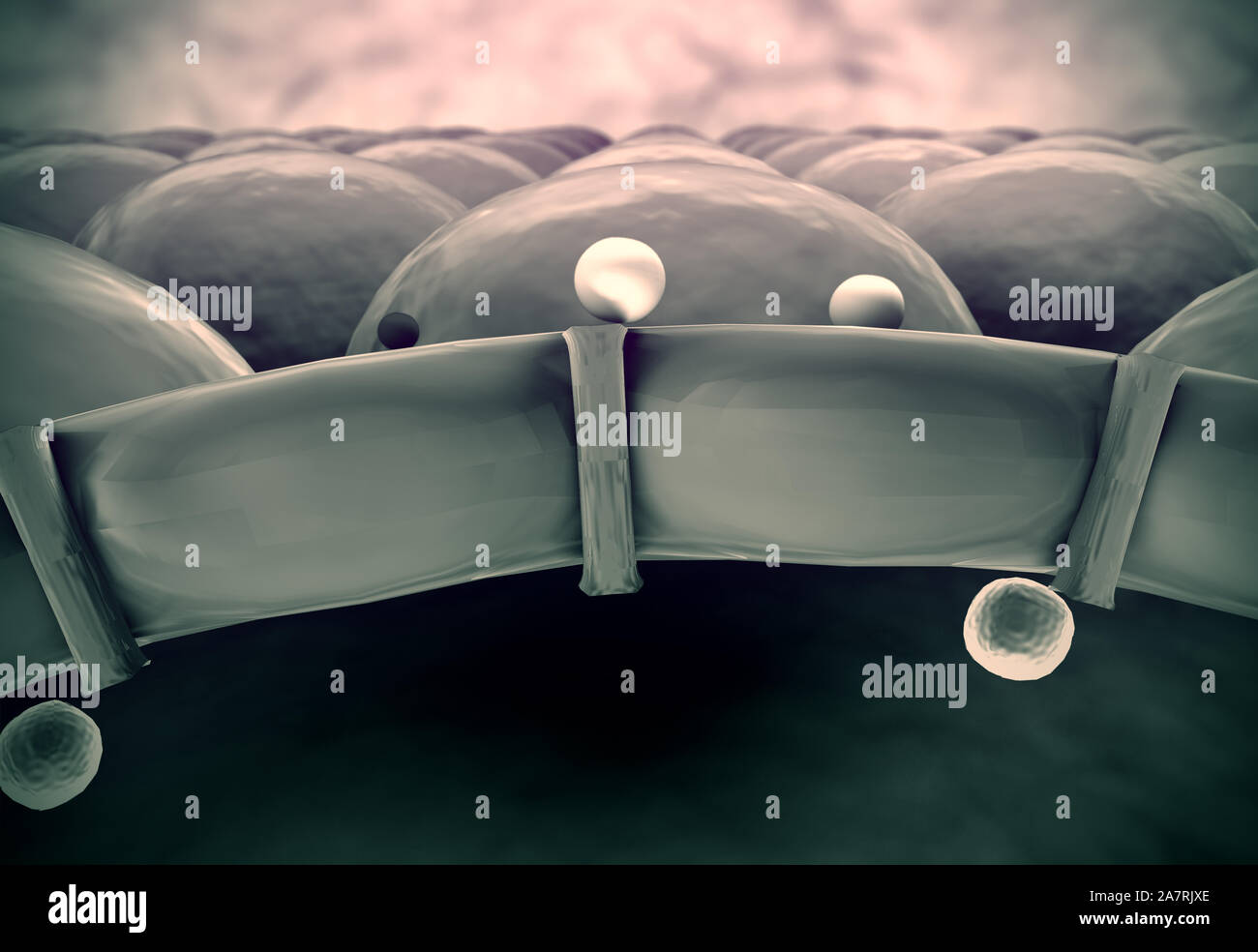 Glucosio e insulina umana, la struttura della molecola Foto Stock