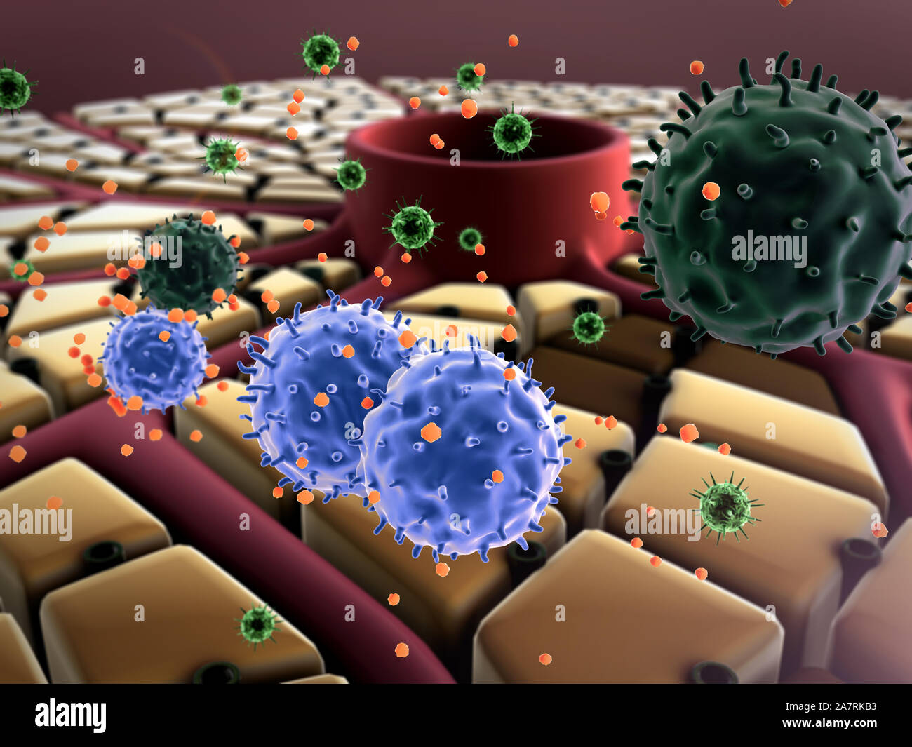 Attacco di virus del fegato, cellule del fegato, malattie del fegato, struttura del fegato Foto Stock