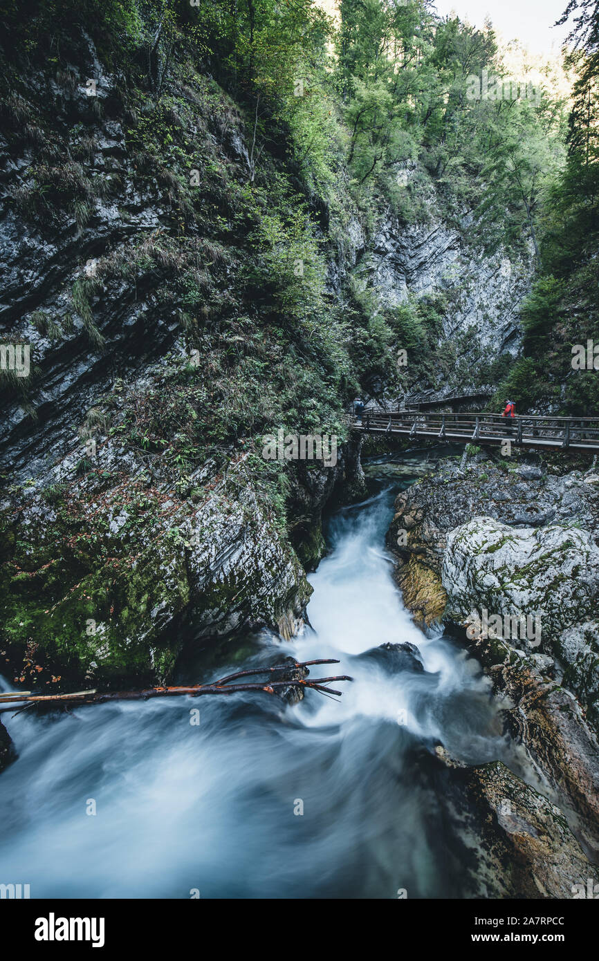 Cascata presso la Gola gola, la bellezza della natura, con il fiume Radovna  fluente attraverso, vicino a Bled, Slovenia Foto stock - Alamy