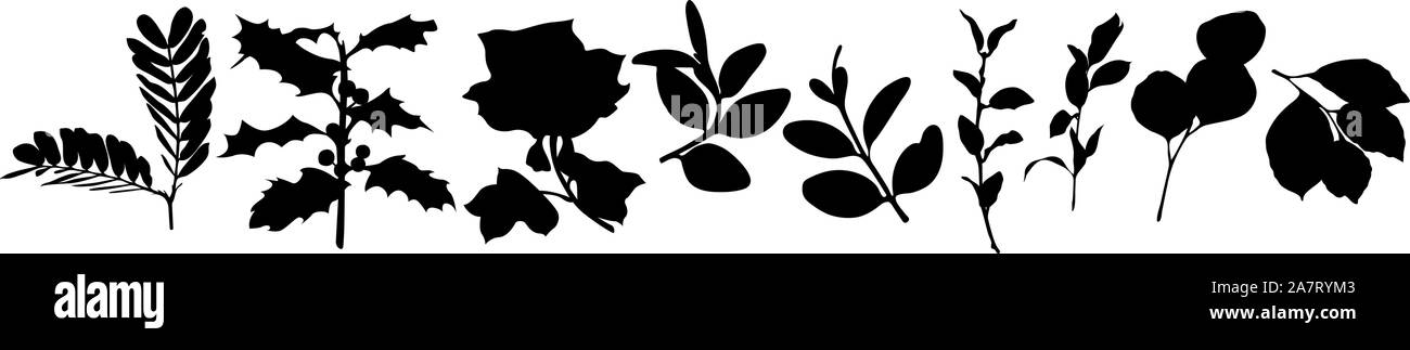 Foglie su un ramoscello nero sagome vettoriali Illustrazione Vettoriale