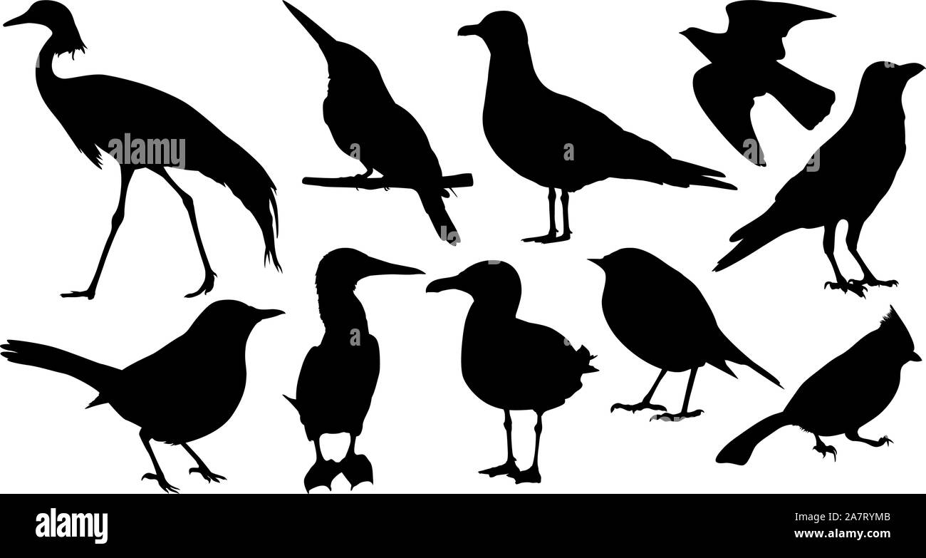 Uccelli selvatici nero sagome vettoriali Illustrazione Vettoriale
