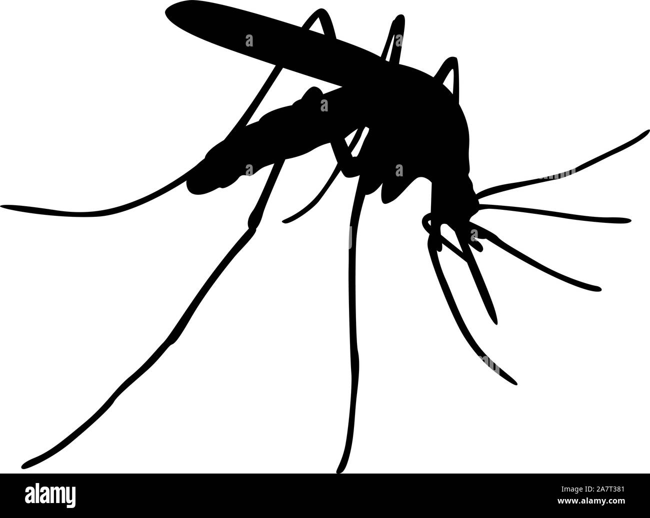 Mosquito vettore nero silhouette Illustrazione Vettoriale