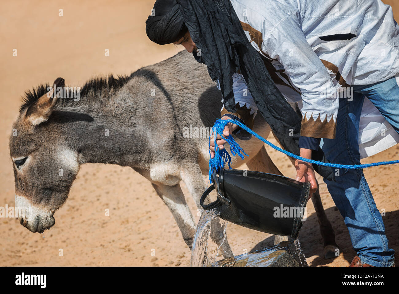 Un nomade dà acqua per un asino da un pozzo nel deserto. Foto Stock