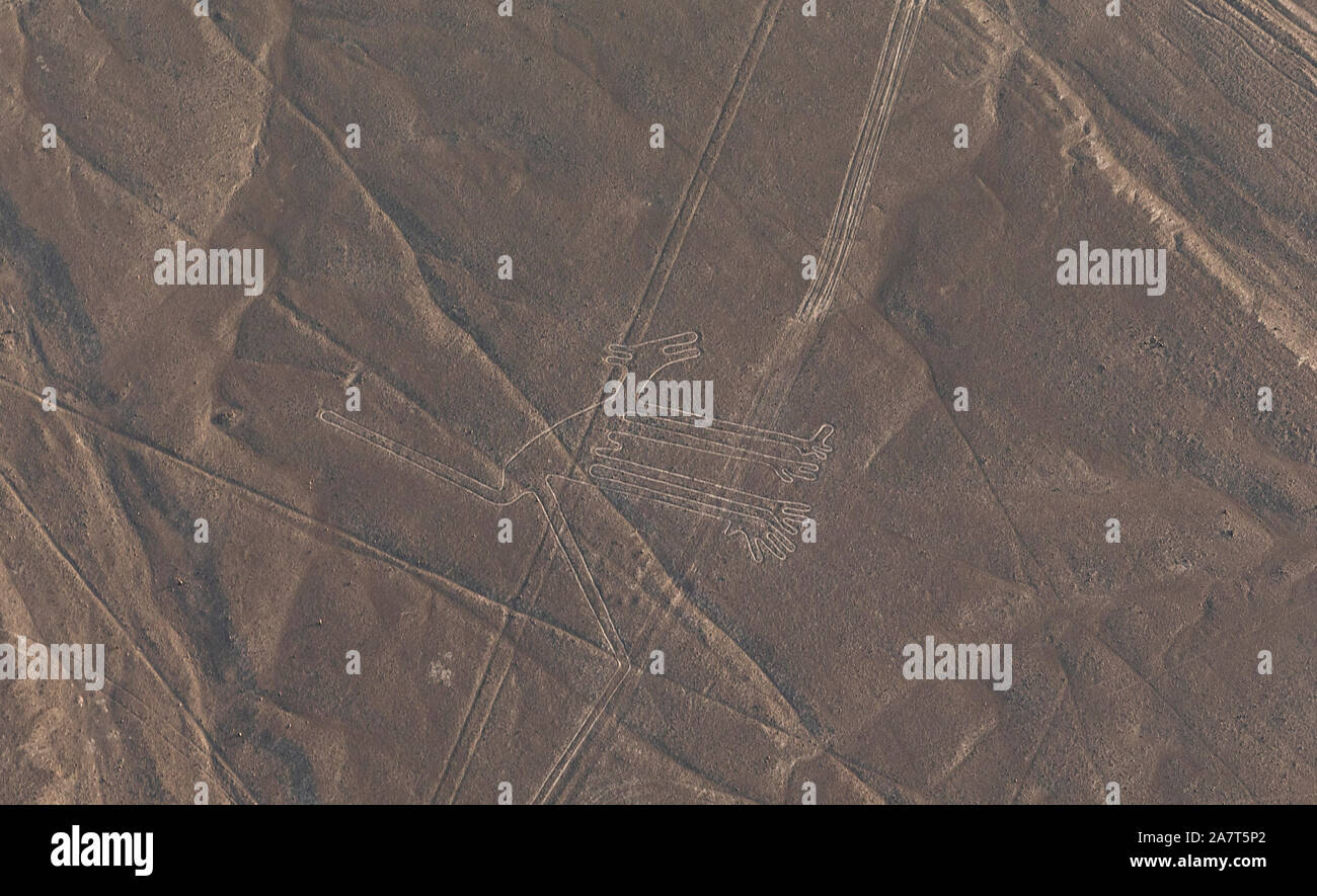 PERÙ, NAZCA- circa OTTOBRE, 2019: Piccolo aereo prende 6 turisti a bordo. Volo sulle linee di Nazca. Foto Stock