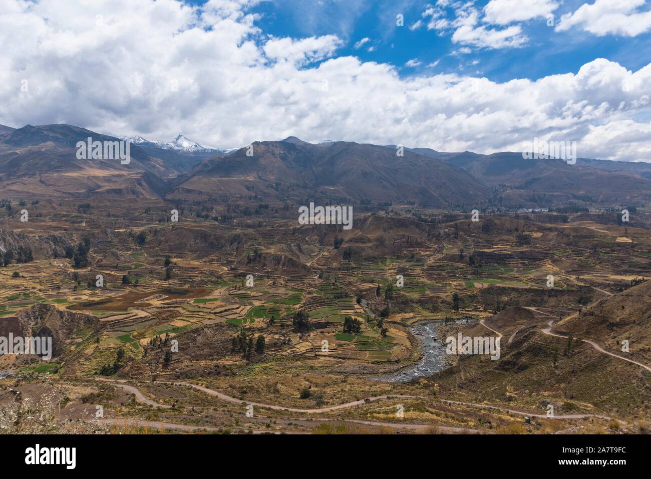 Il Canyon del Colca è un Canyon del Colca River nel sud del Perù, situato a circa 160 chilometri (99 mi) a nord-ovest di Arequipa. Foto Stock