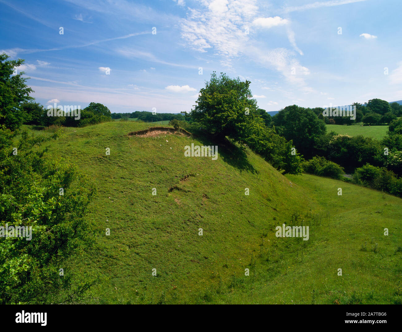 Visualizzare ENE di Tomen y Rhodwydd motte e bailey castello, Denbighshire, Wales, Regno Unito, mostrando il bastione, fossato & banca esterna (counterscarp) della Bailey. Foto Stock