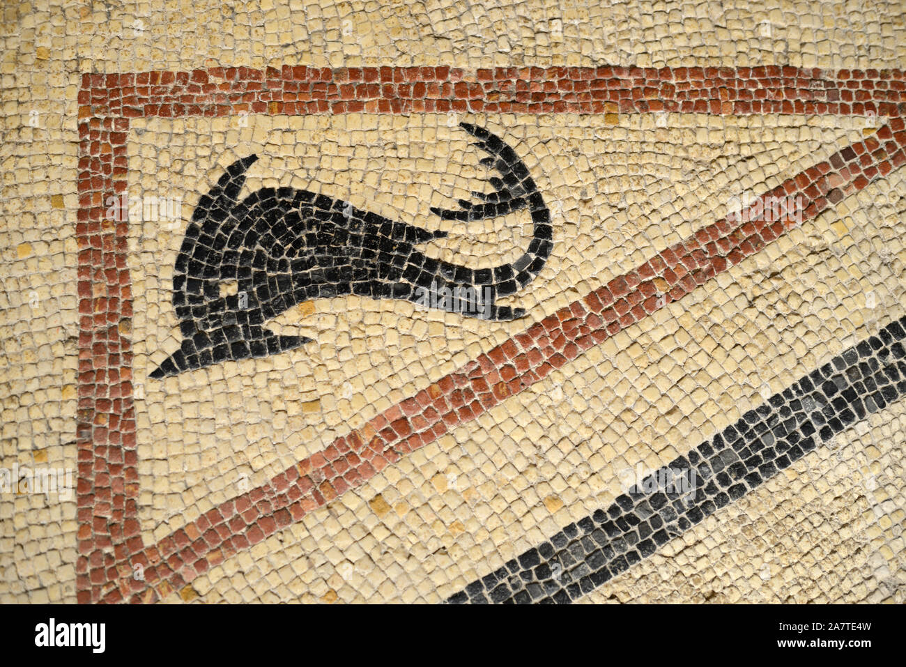 Roman pavimento a mosaico di balena o di Dolphin come creatura del mare 1a-2a annuncio a partire da Rue Pasteur Nimes (Musée de la Romanité) Foto Stock