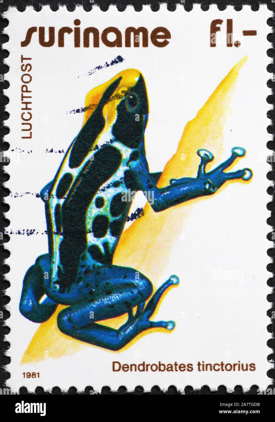 Rana velenosi sul francobollo del Suriname Foto Stock