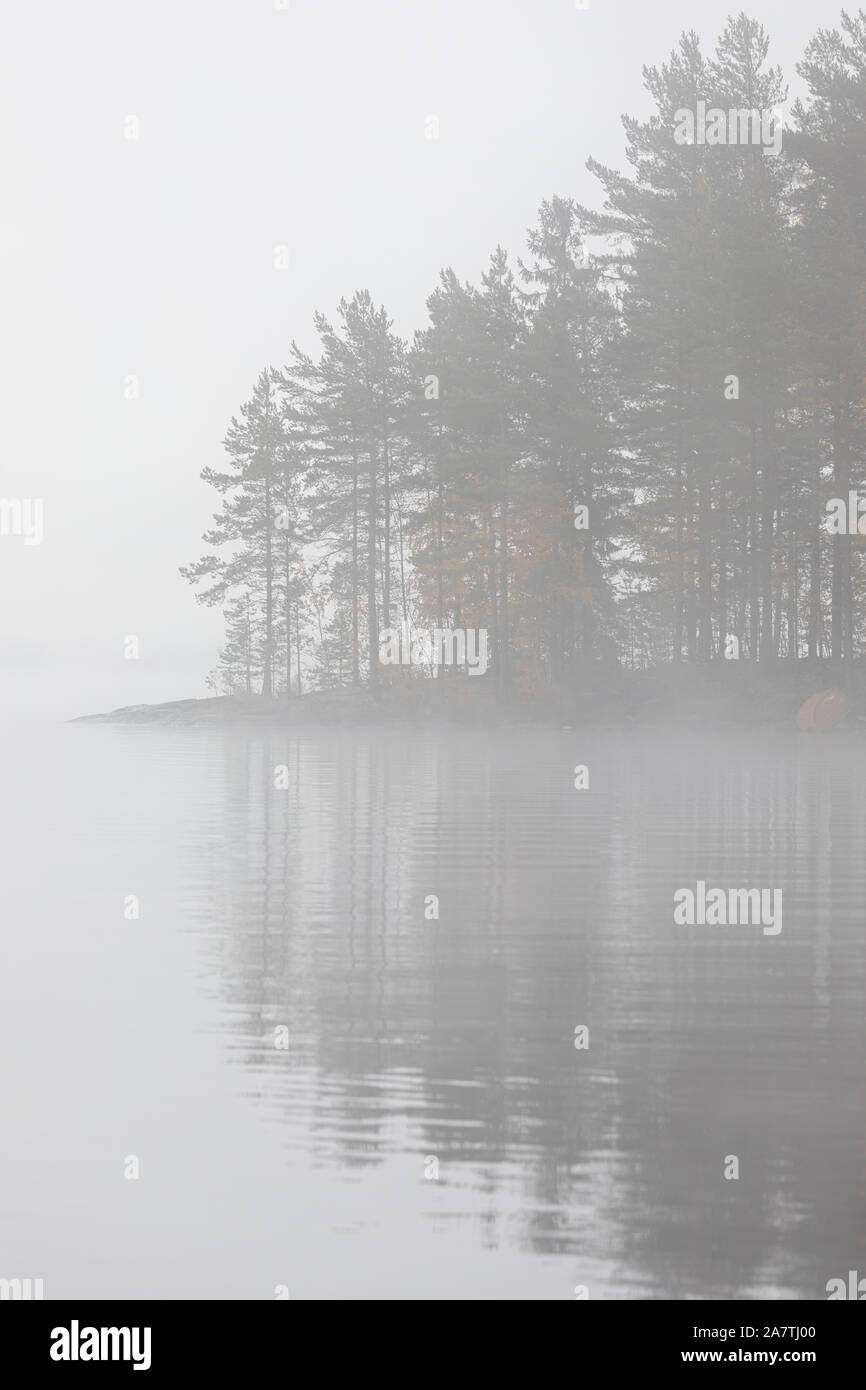 Il lago di scape e nebbioso sponda opposta foresta all'alba Foto Stock