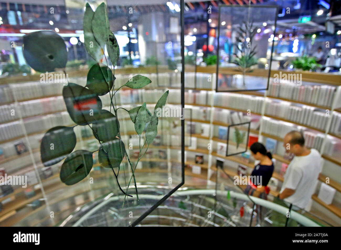 Erbario nella lastra di vetro che si compone di un edificio a tre piani di alta wind chime con altri riquadri simili a Xi'an City, a sud-ovest della Cina di provincia di Shaanxi, 1 A Foto Stock
