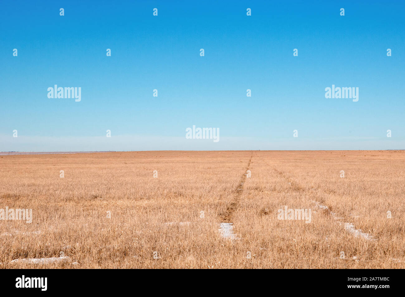 Raccolte campo di grano con tracce vehichle passando attraverso di esso. Foto Stock