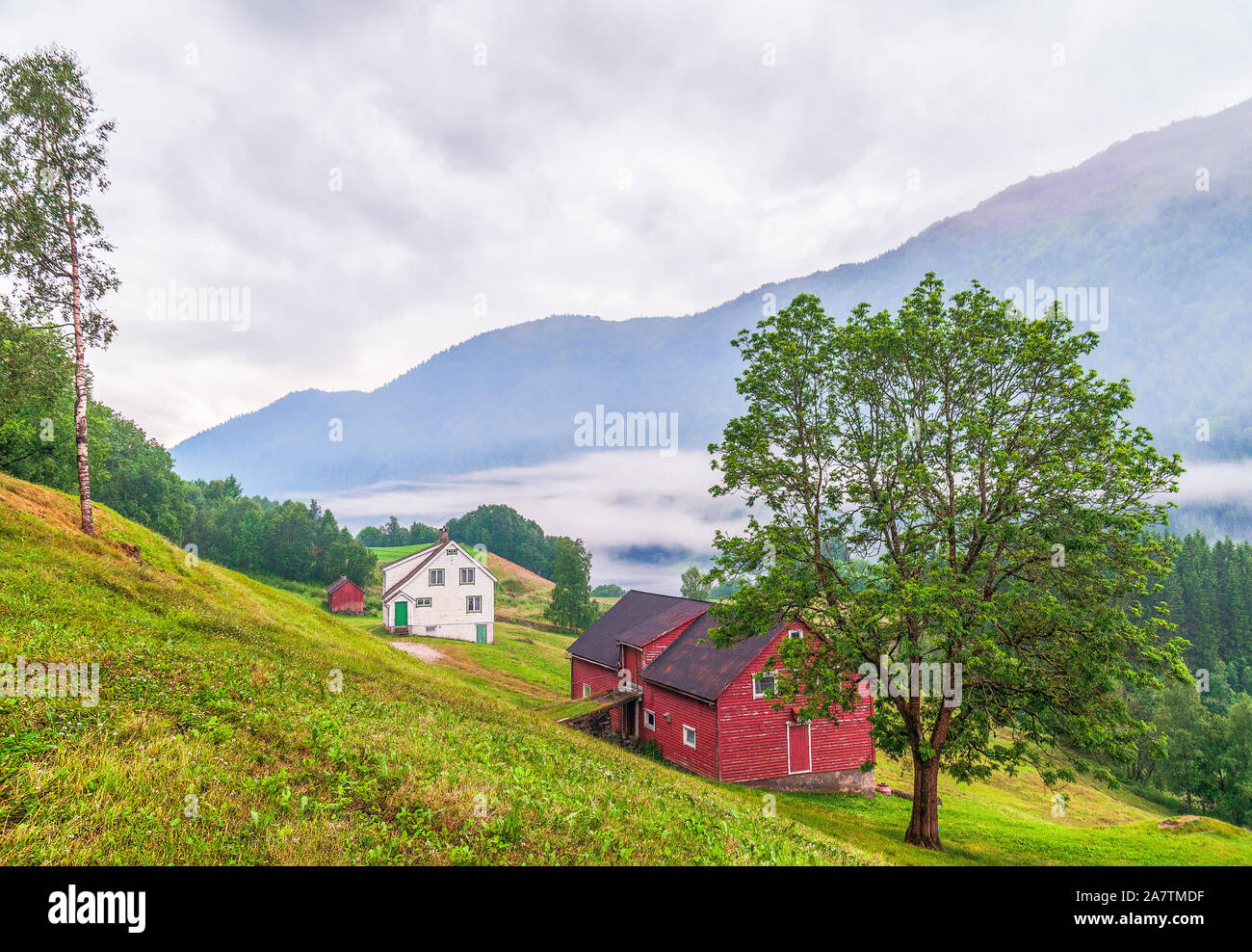 La nebbia nel corso della campagna norvegese lungo il percorso 13. Norvegia occidentale Foto Stock