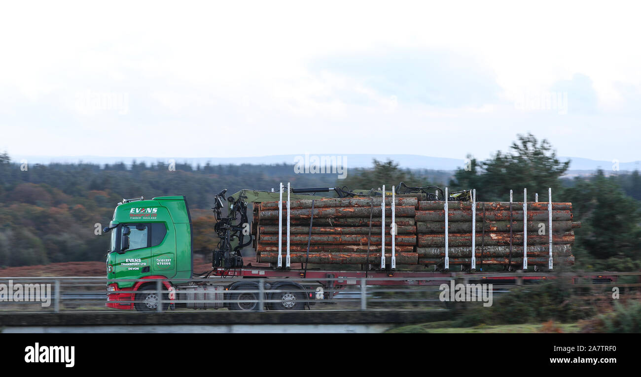 Alberi abbattuti sul retro di un camion vengono trasportati attraverso la Nuova Foresta Foto Stock