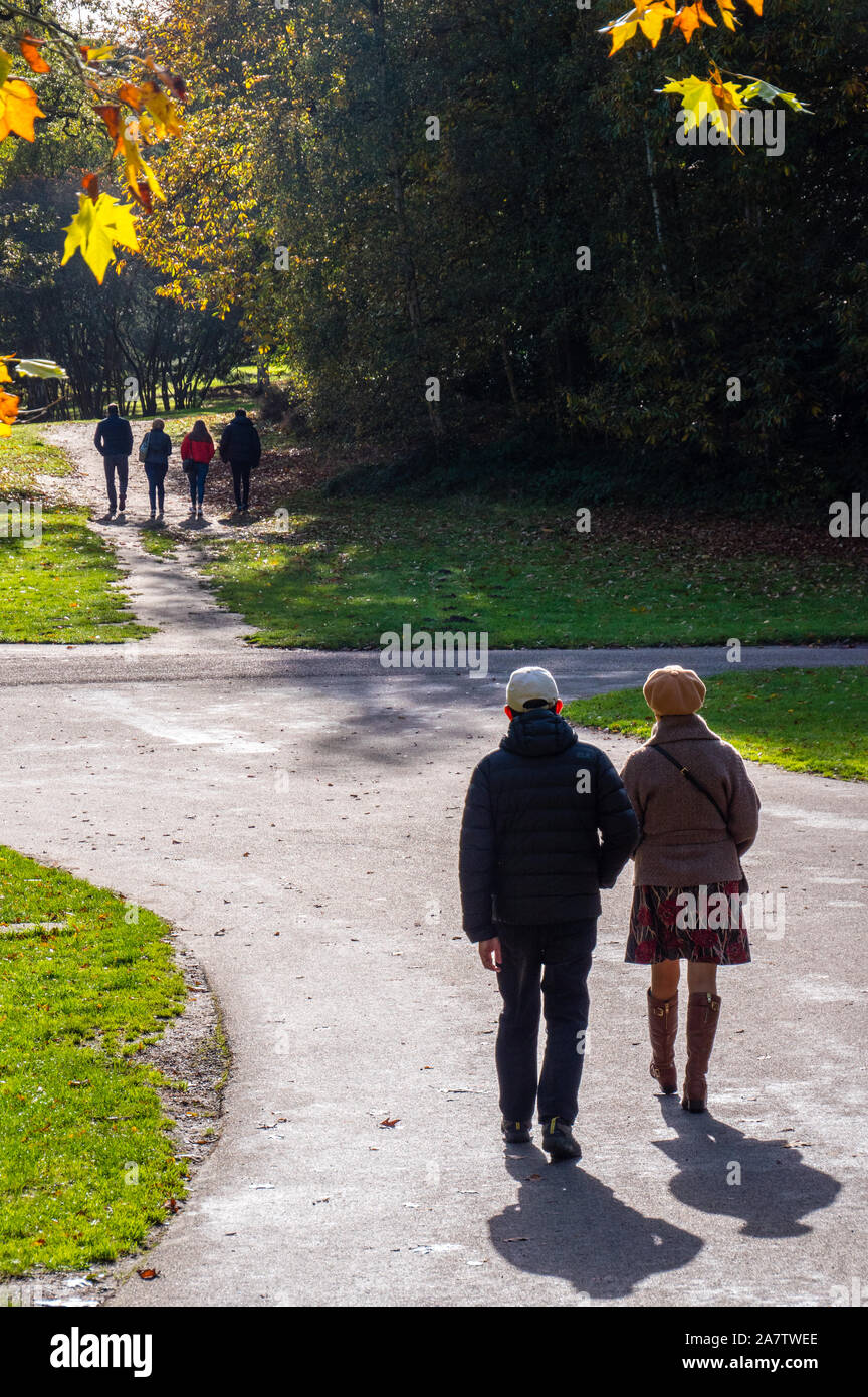 I visitatori a piedi gettò autunno alberi, rododendro Ride, Windsor Great Park Surrey, Inghilterra, Regno Unito, GB. Foto Stock