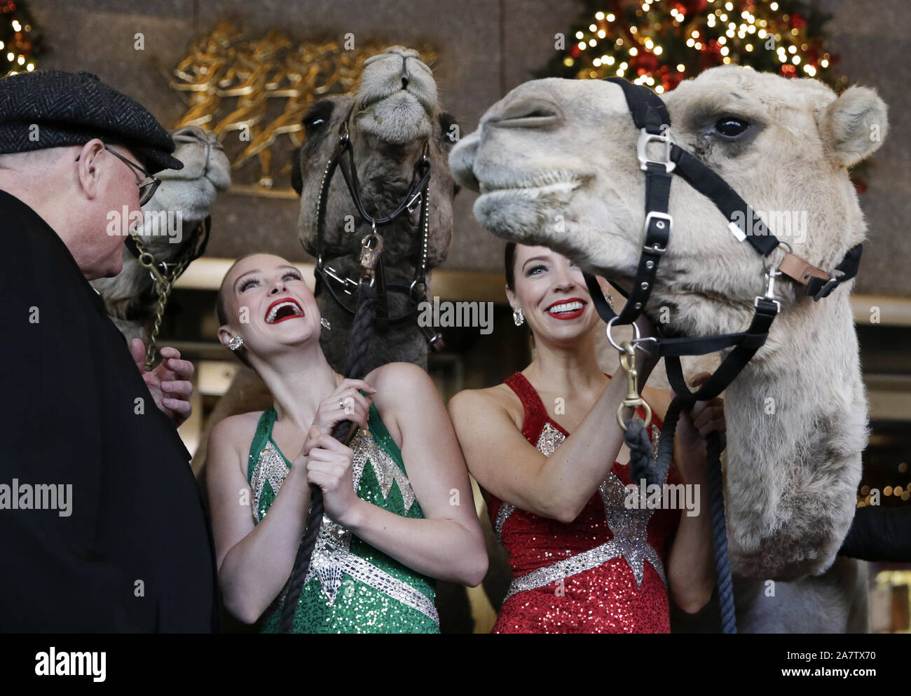 New York, gli Stati Uniti. 04 Nov, 2019. Radio City Rockettes ballerini stand tra i cammelli e altri animas quando New York Arcivescovo Cardinale Timothy Dolan partecipa alla benedizione degli animali cerimonia per gli animali che apparirà nella Radio City Christmas Spectacular al Radio City Music Hall di lunedì, 4 novembre 2019 a New York City. Il "Presepe Vivente" la scena è stata una parte della produzione sin dal suo inizio nel 1933. Foto di Giovanni Angelillo/UPI Credito: UPI/Alamy Live News Foto Stock