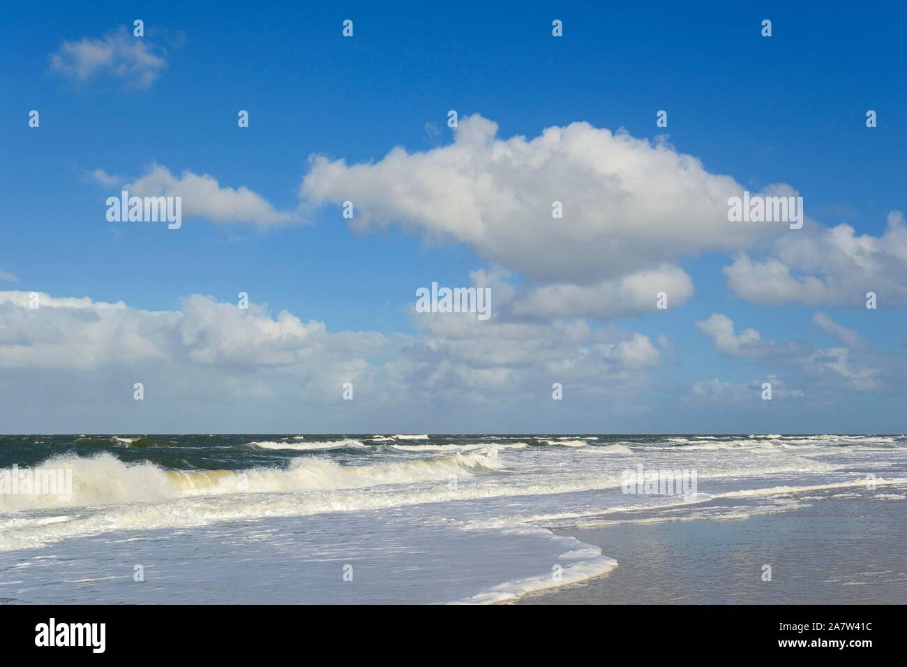 Le onde in esecuzione presso la spiaggia di sabbia, blu cielo con imbutitura di cumulus nuvole (Cumulus) oltre il mare del Nord, Kampen, Sylt, Nord Isole Frisone Foto Stock