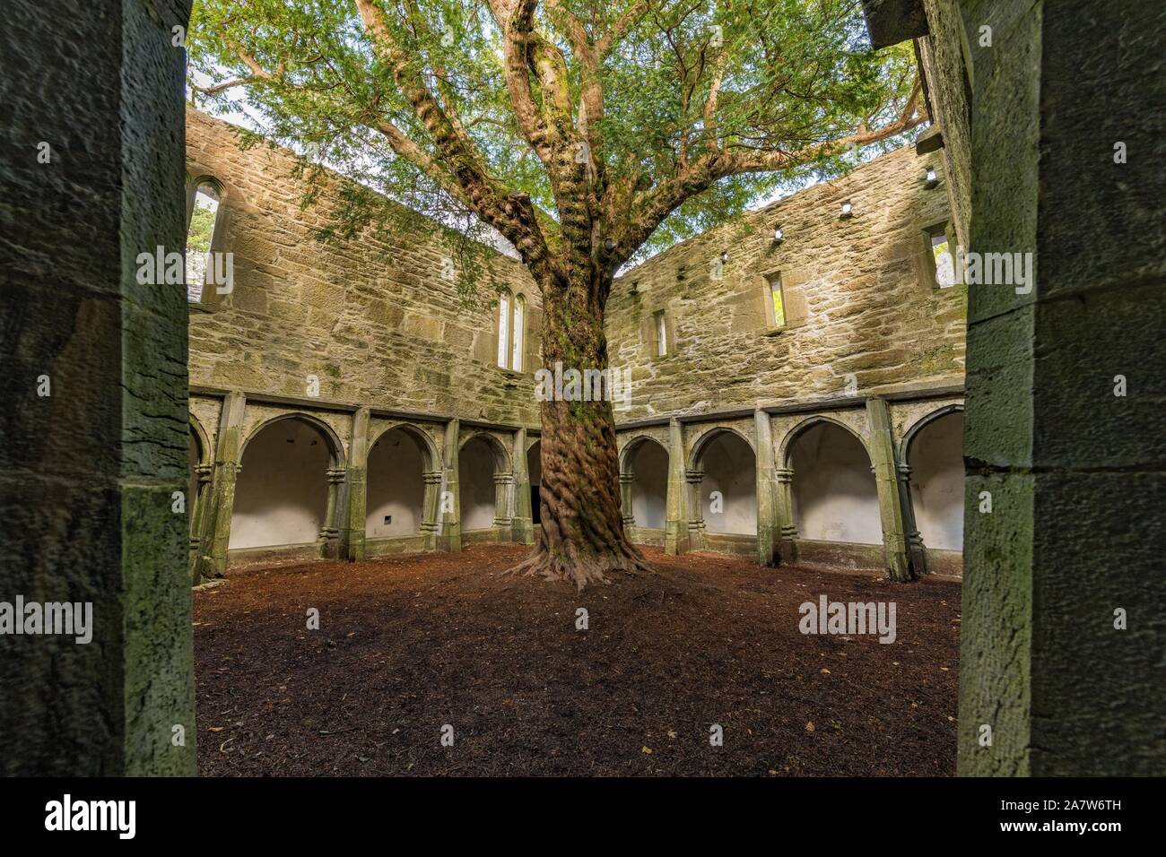 Abbazia Muckross nel Parco Nazionale di Killarney in Irlanda Foto Stock