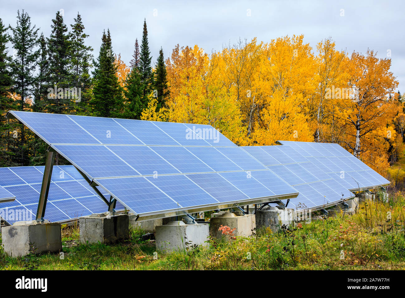 Energia solare pannelli nella foresta, Manitoba, Canada. Foto Stock