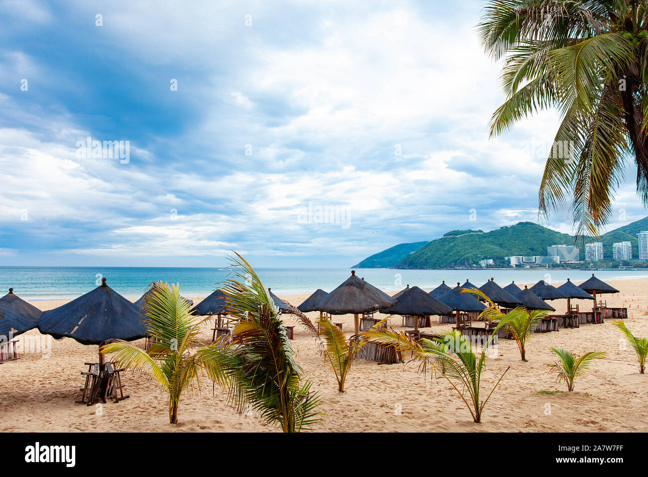 Palme e mare relax paesaggio turistico tropicale Foto Stock