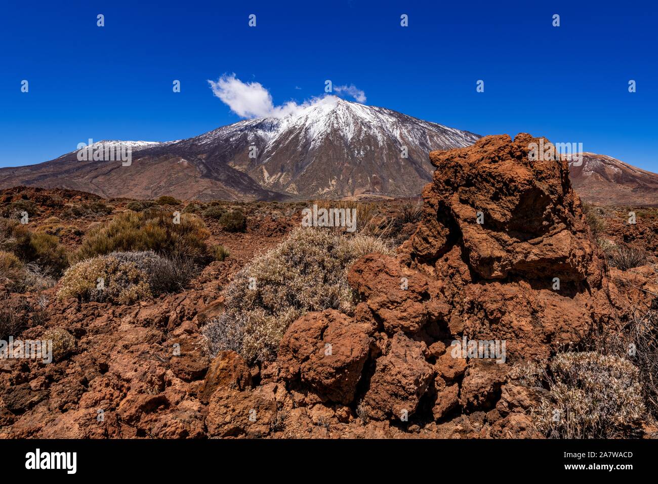 Parco Nazionale del Teide è il più grande parco delle isole Canarie. Foto Stock