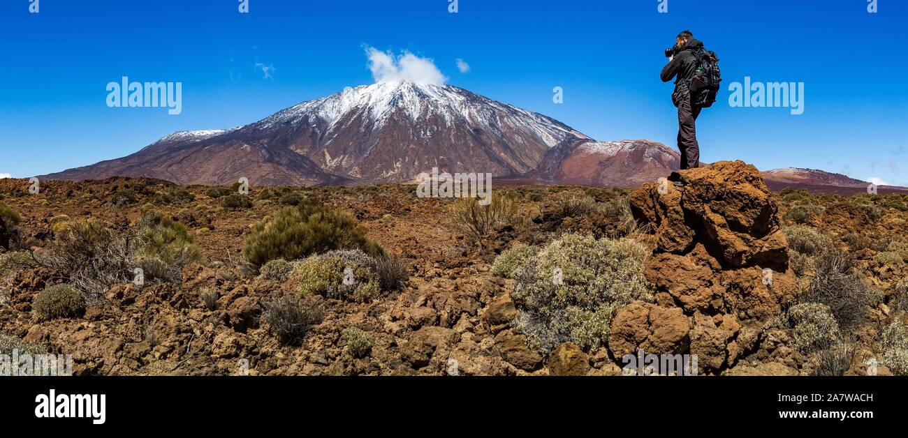 Parco Nazionale del Teide è il più grande parco delle isole Canarie. Foto Stock
