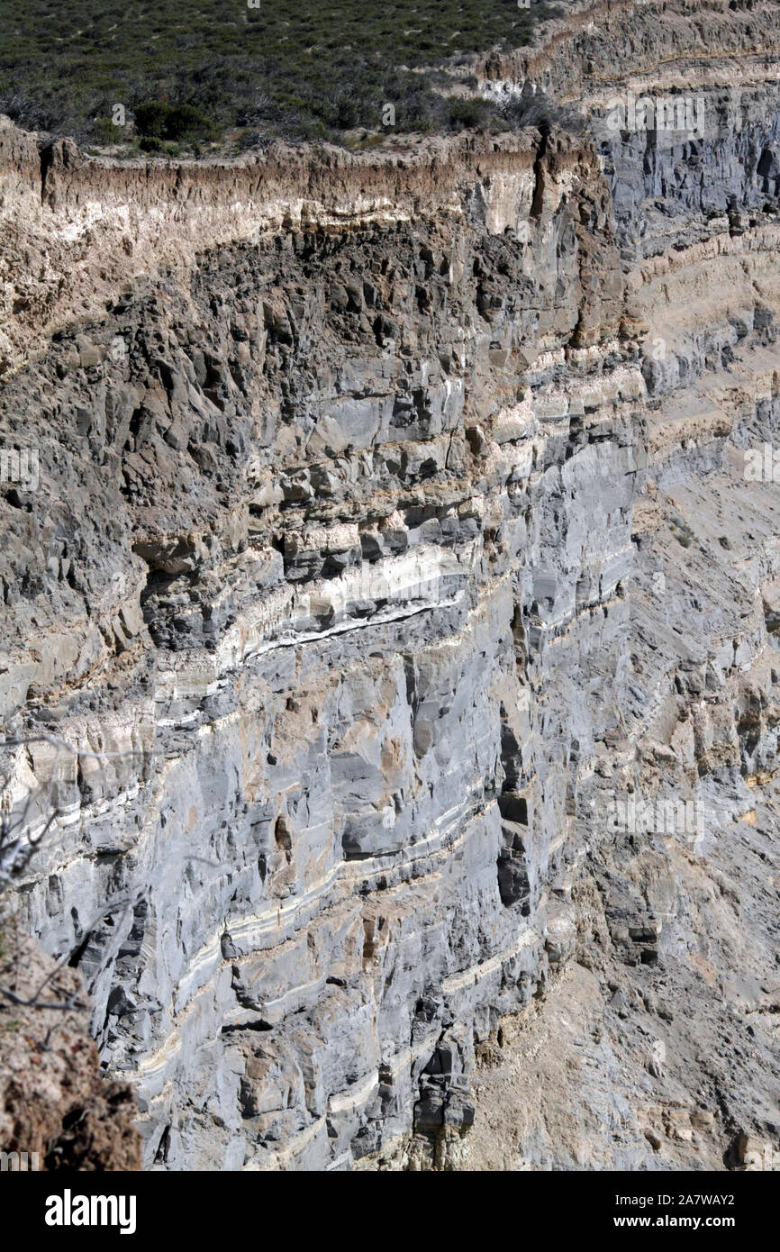 Cliff e strati di roccia a Punta Ninfas, Chubut, Argentina, Patagonia. Foto Stock