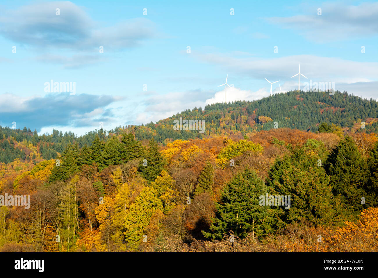 Foresta nera sulle colline vicino a Freiburg im Breisgau in Germania, colori autunnali e di tre turbine eoliche sulla parte superiore. Foto Stock