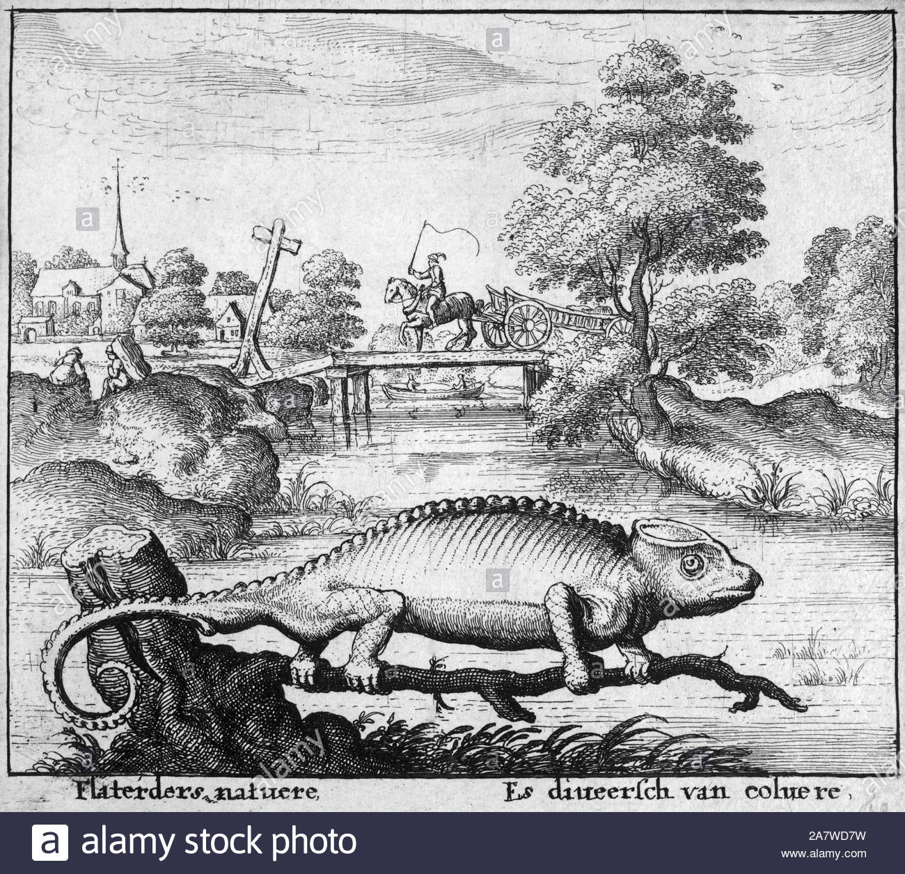 Il camaleonte, uno di Esopo favole, attacco da incisore boemo Wenceslaus Hollar da 1600s Foto Stock