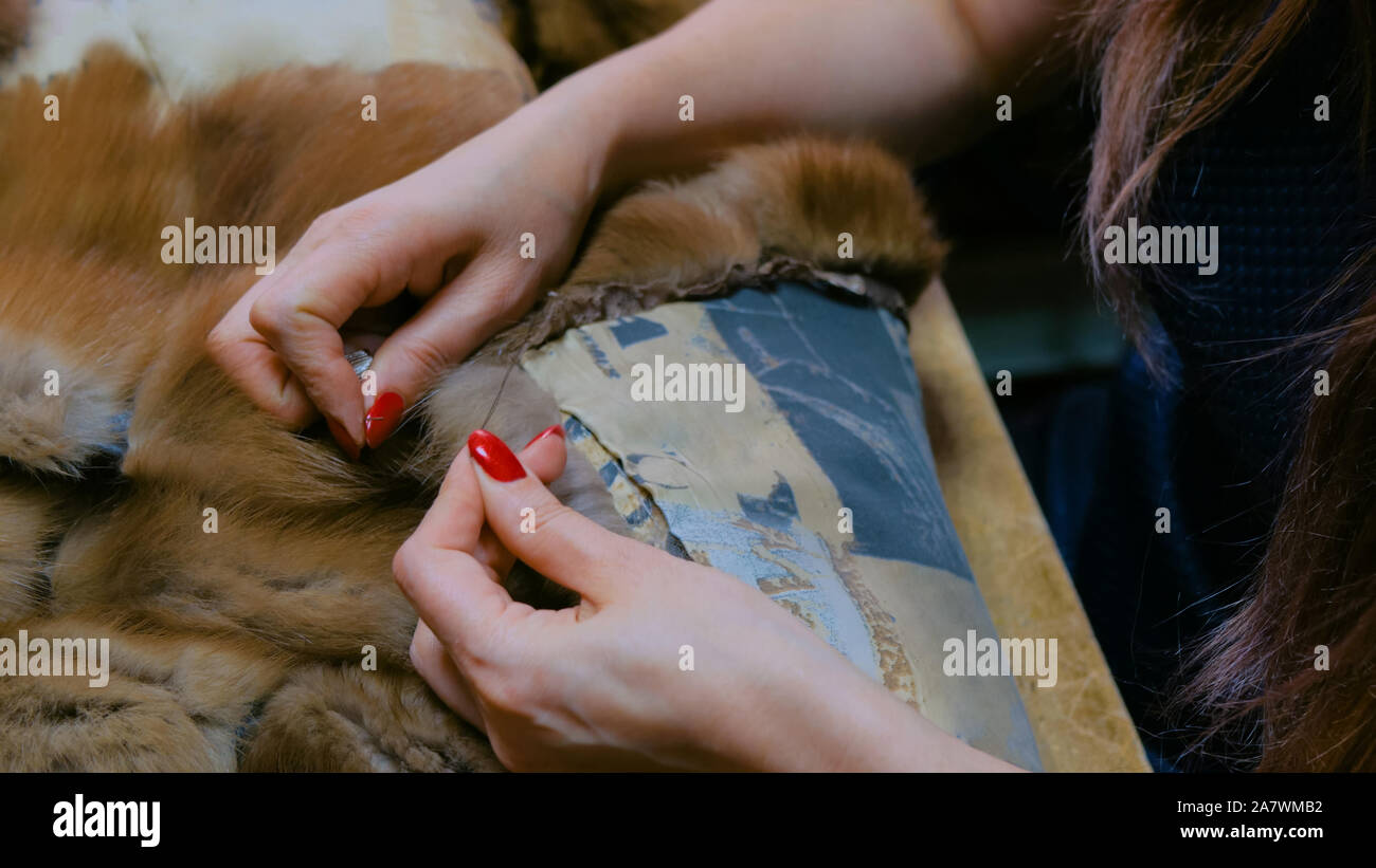 Personalizzare la riparazione di pelliccia Foto Stock