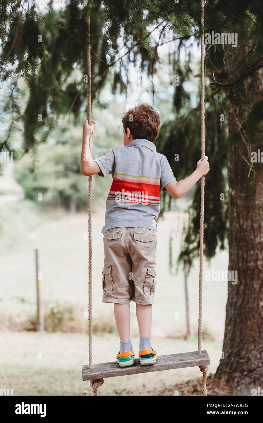 Vista posteriore del ragazzo in piedi su altalena sotto gli alberi di pino Foto Stock