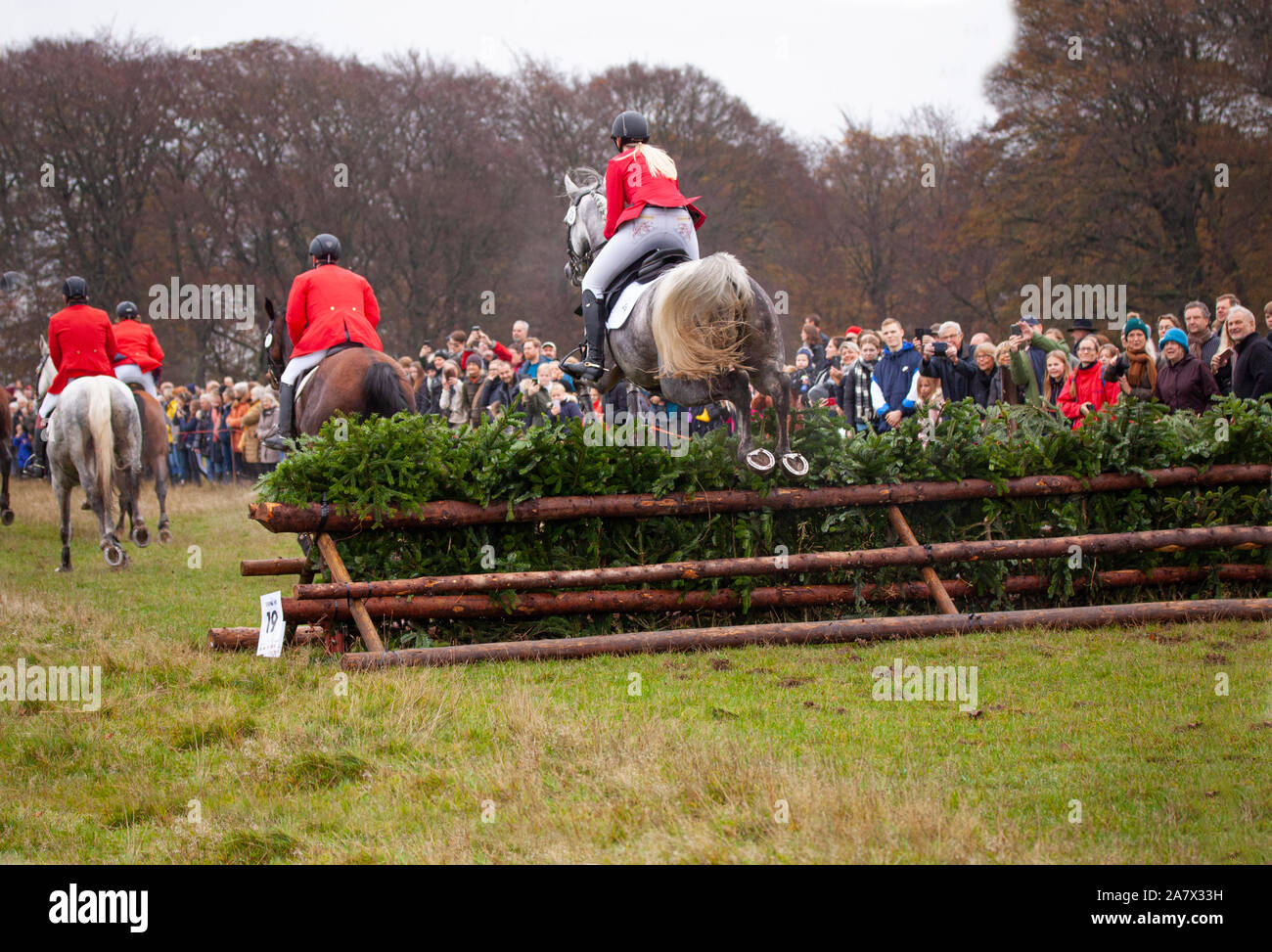 Piloti saltando una recinzione di log durante la simulazione di Fox Hunt con gli spettatori. Sport Equestri in un parco pubblico. Copenhagen, Danimarca - 3 novembre 2019. Foto Stock
