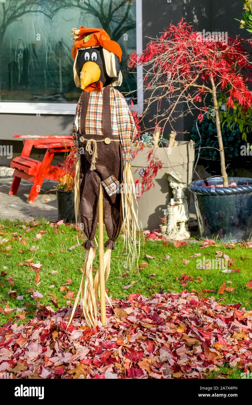 Crow spaventapasseri in giardino. Foto Stock