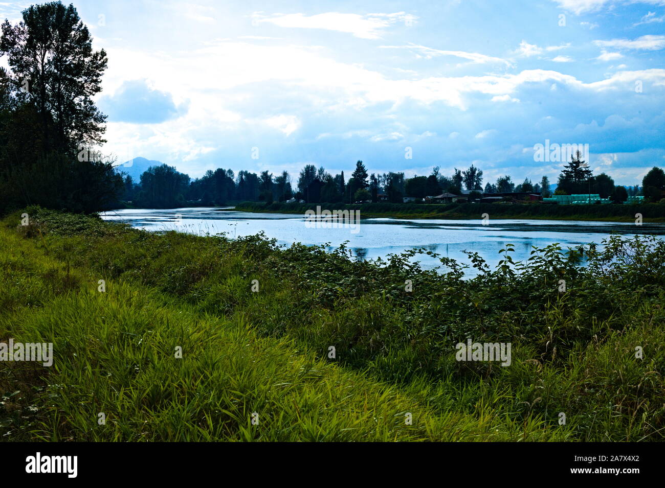 Nicomen Slough, Missione, British Columbia, Canada Foto Stock