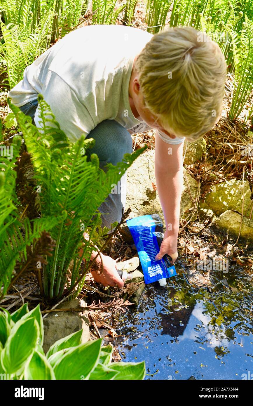 Giovane uomo utilizzando Sawyer Squeeze acqua sistema di filtrazione per purificare l acqua potabile sicura, rendere potabile, da stagno, Browntown Wisconsin, USA. Foto Stock