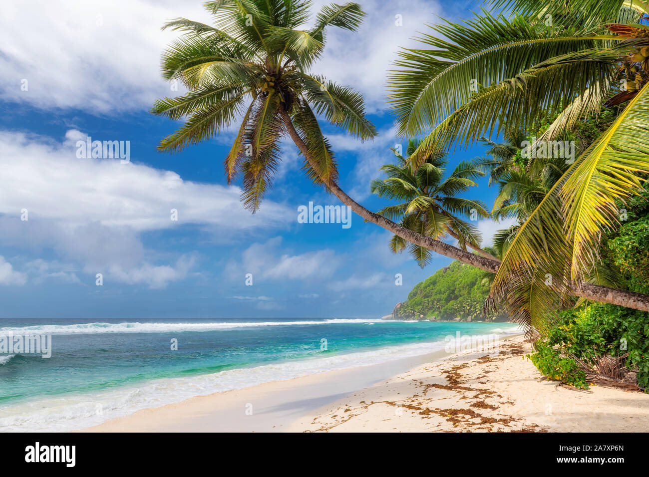 Spiaggia tropicale sfondo Foto Stock