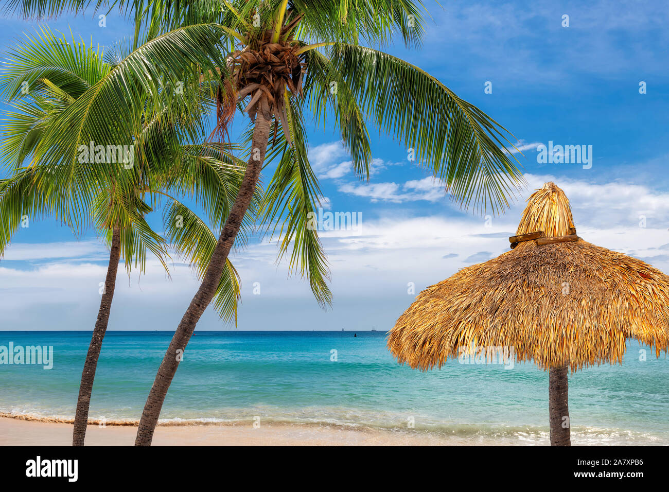 Sunny beach con ombrellone e le palme in isola dei Caraibi Foto Stock