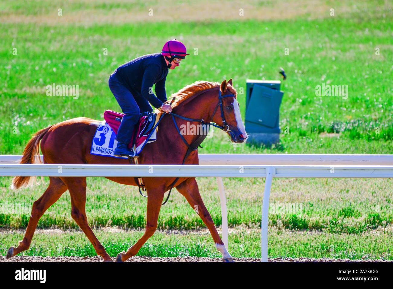 Melbourne Cup seconda Il Paradiso, Spring Racing Carnival, International Horse alloggiato & Formazione, Werribee Racecourse, Melbourne, Victoria, Australia Foto Stock