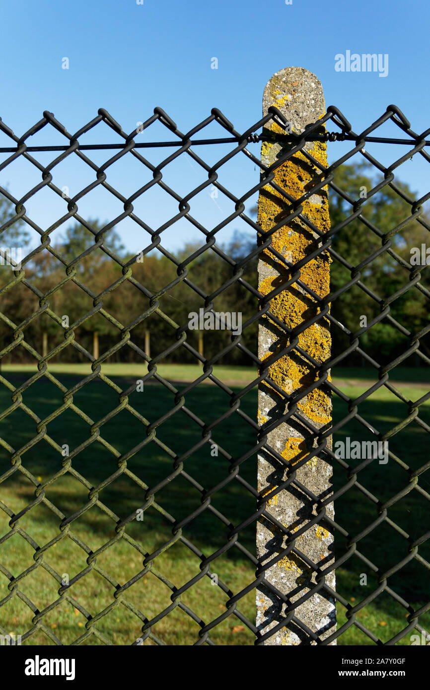Catena collegamento recinto attaccato ad un palo di cemento con il verde lichene su di esso. Foto Stock