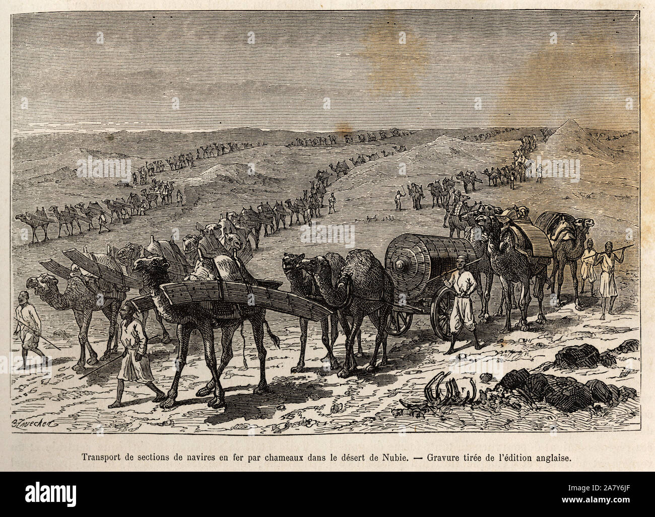 Trasporto sezioni des de navire en fer par chameaux, dans le deserto de  Nubie ( Soudan),il rotocalco illustrant une expedition armée dans l'Afrique  centra Foto stock - Alamy